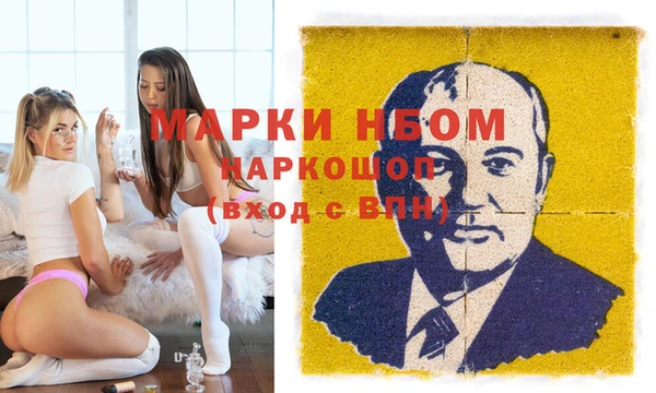 хмурый Алексин