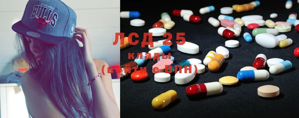 хмурый Алексин