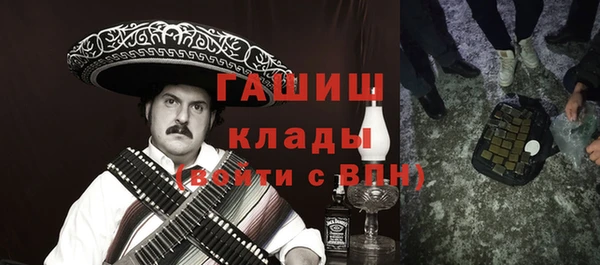 хмурый Алексин