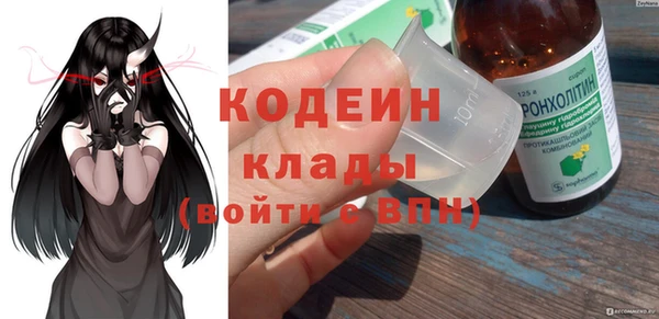 хмурый Алексин