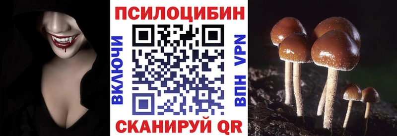 omg сайт  Рубцовск  Галлюциногенные грибы Magic Shrooms 