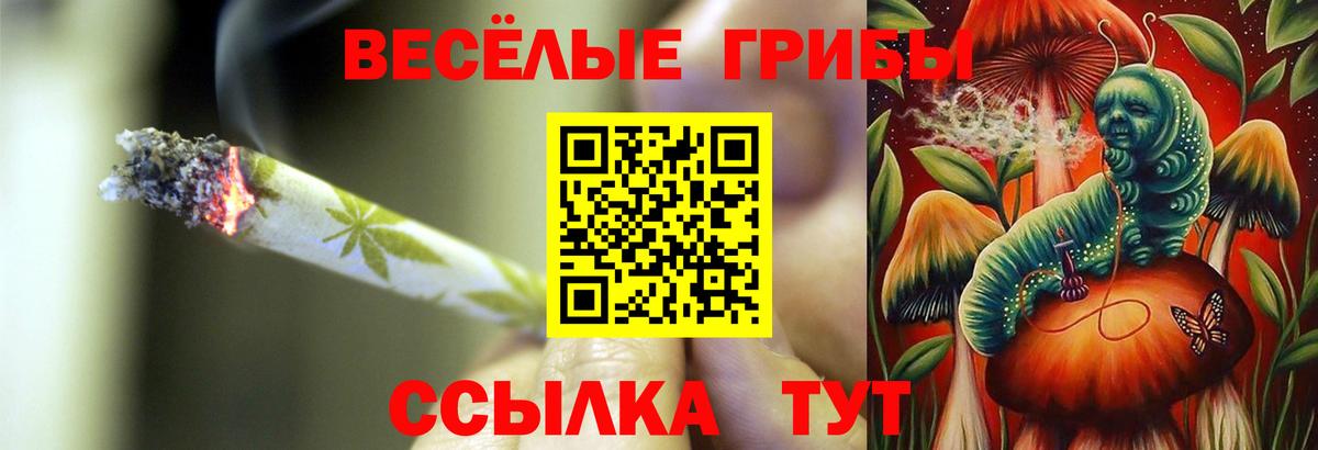Псилоцибиновые грибы Psilocybe  Вход с VPN  Псилоцибиновые грибы Cubensis  Рубцовск 